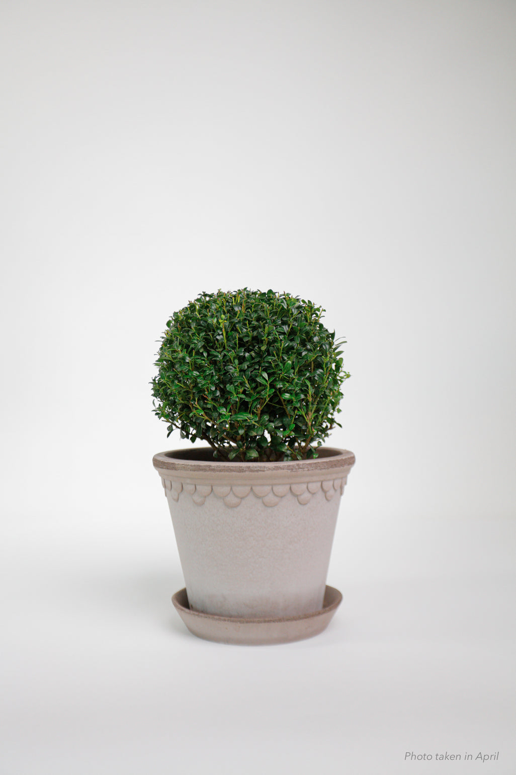 products/SotoProductShootLowQ-1992.jpg